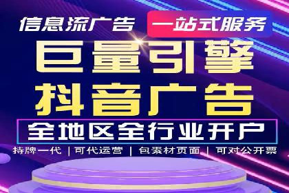 某电商平台的SEM策略与效果展示